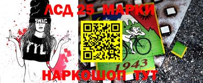индика Можга