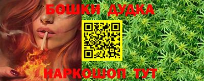 индика Можга