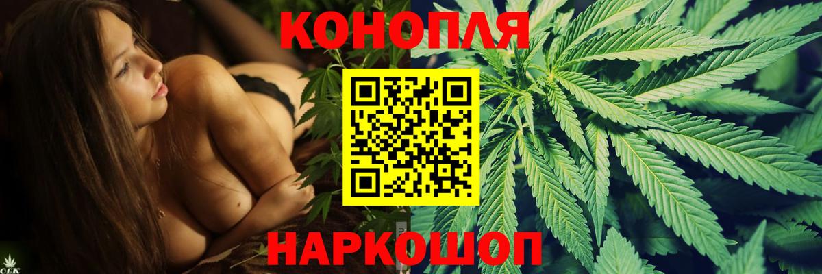 Бошки марихуана планчик Горно-Алтайск